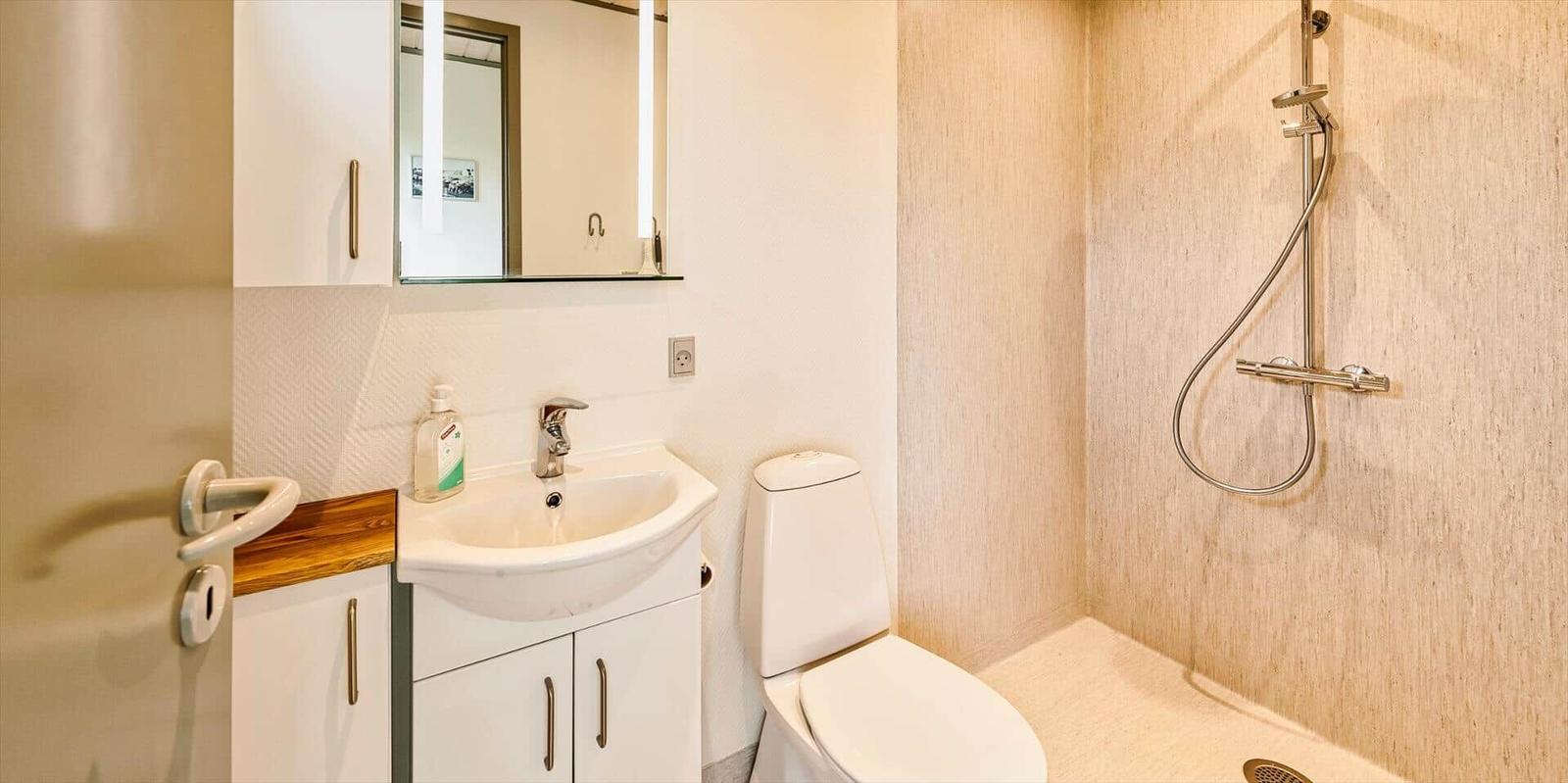 Bad mit Dusche, Waschbecken und Toilette. Spiegelschrank und Handtuchhalter sichtbar.