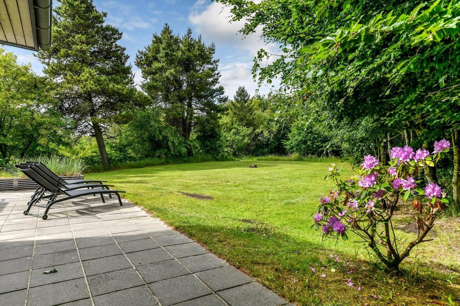 Terrasse mit Liegestühlen, grüner Rasen und blühenden Sträuchern im Hintergrund.