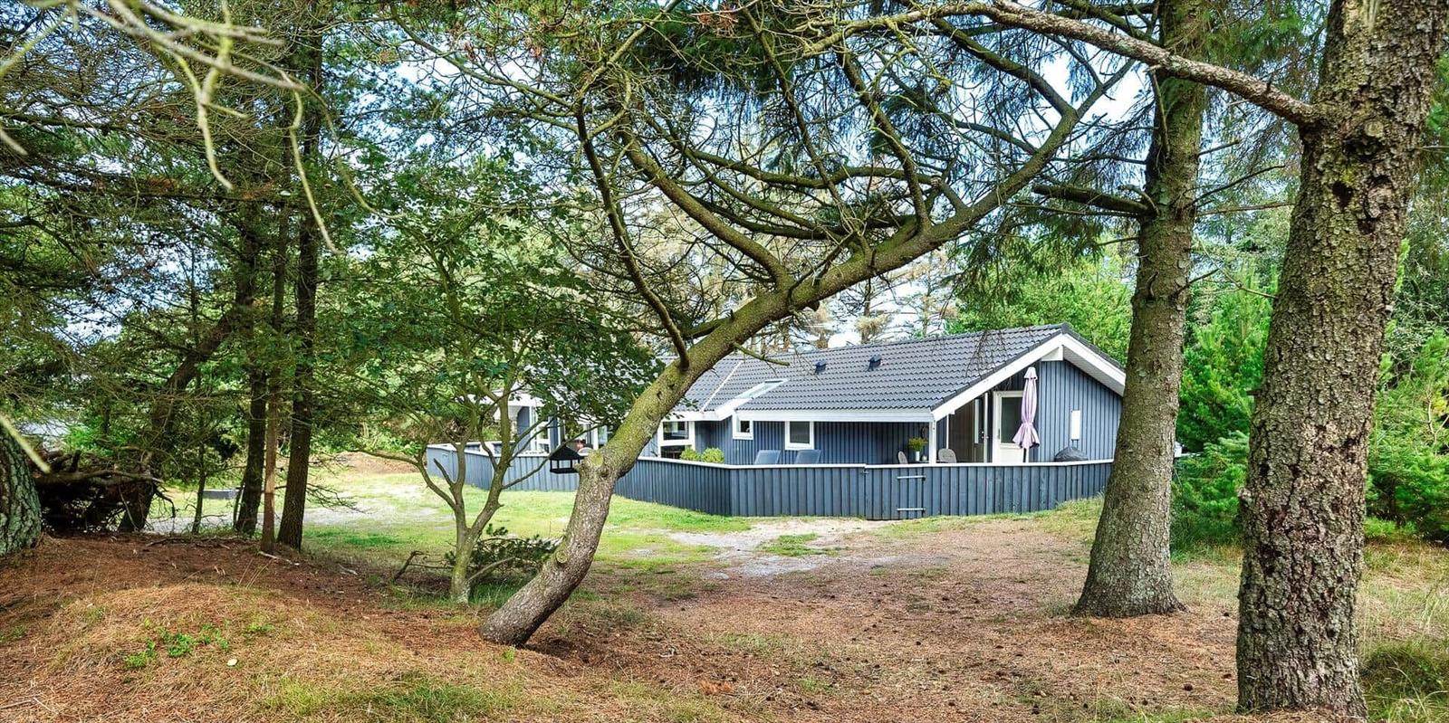 Ein blau gestrichenes Haus mit Terrasse steht zwischen hohen Bäumen.
