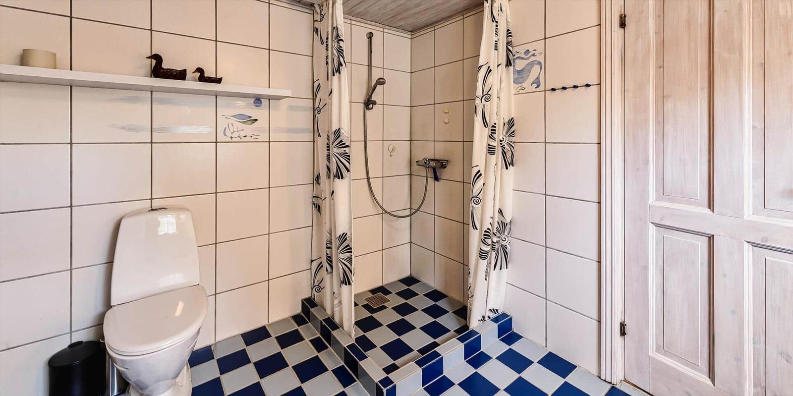 Badezimmer mit Dusche, Toilette und blau-weißem Fliesenboden.