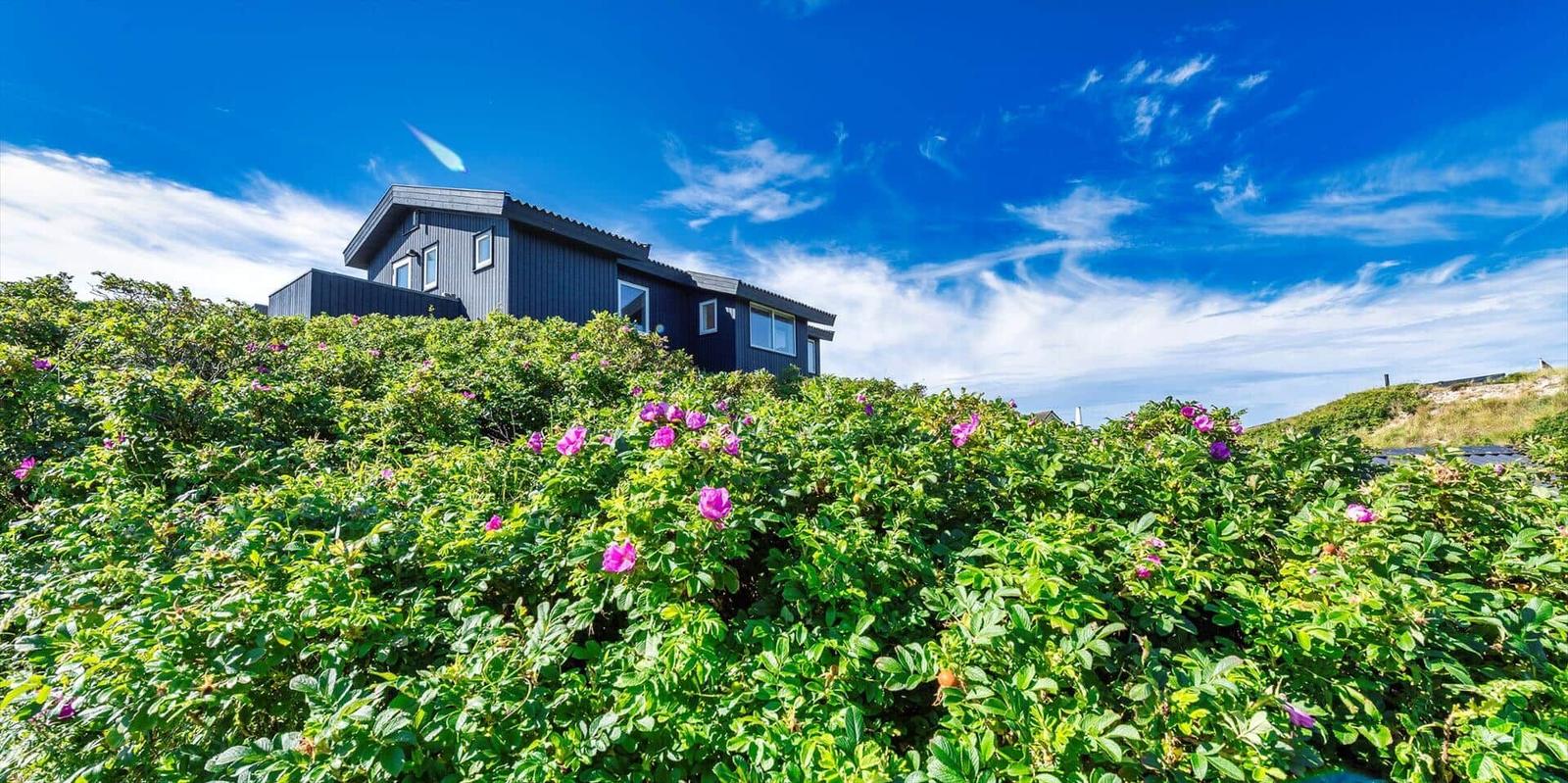 Schwarzes Haus auf Hügel mit rosa Rosen und blauem Himmel.