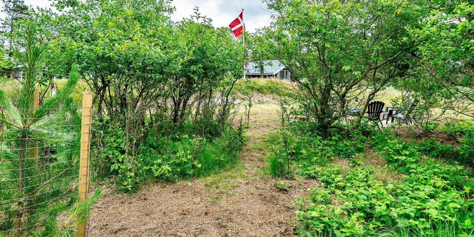 Weg durch grüne Vegetation zu einem Haus mit dänischer Flagge.