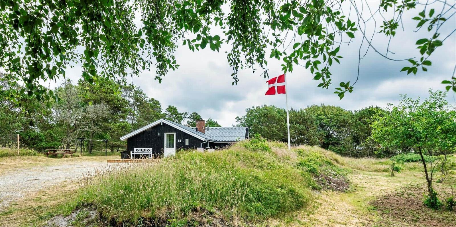Schwarzes Ferienhaus mit weißer Tür und dänischer Flagge im Grünen.