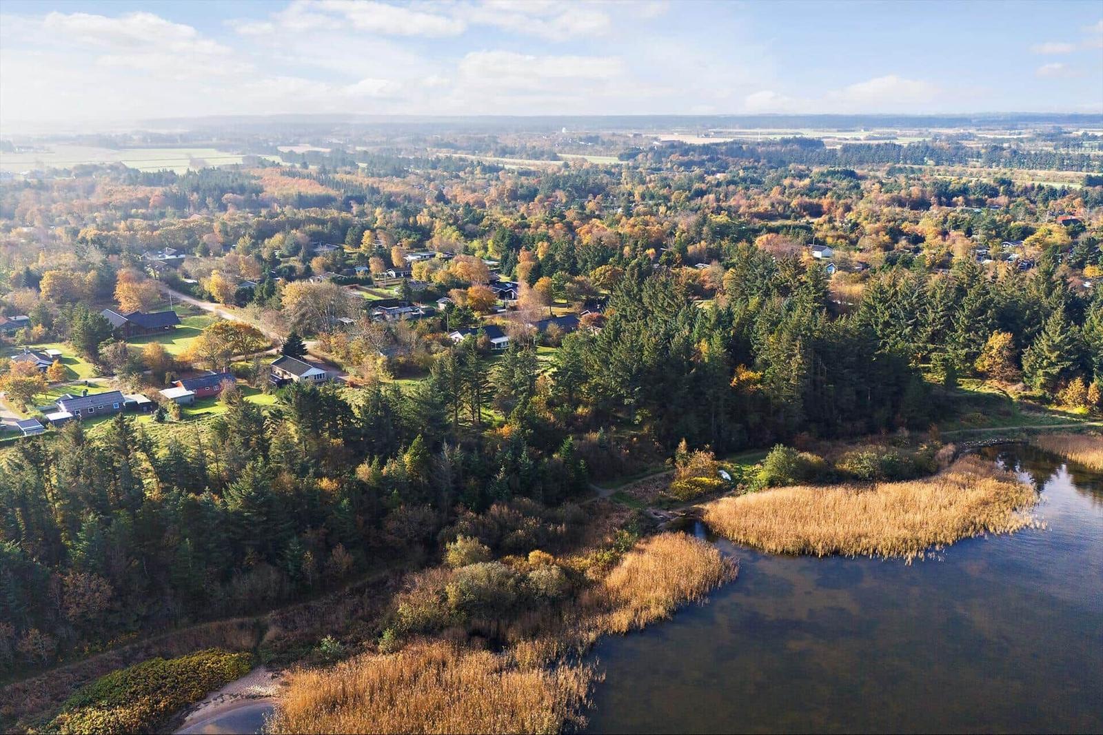 Luftbild einer ländlichen Gegend mit Wald, einem See und Wohnhäusern.