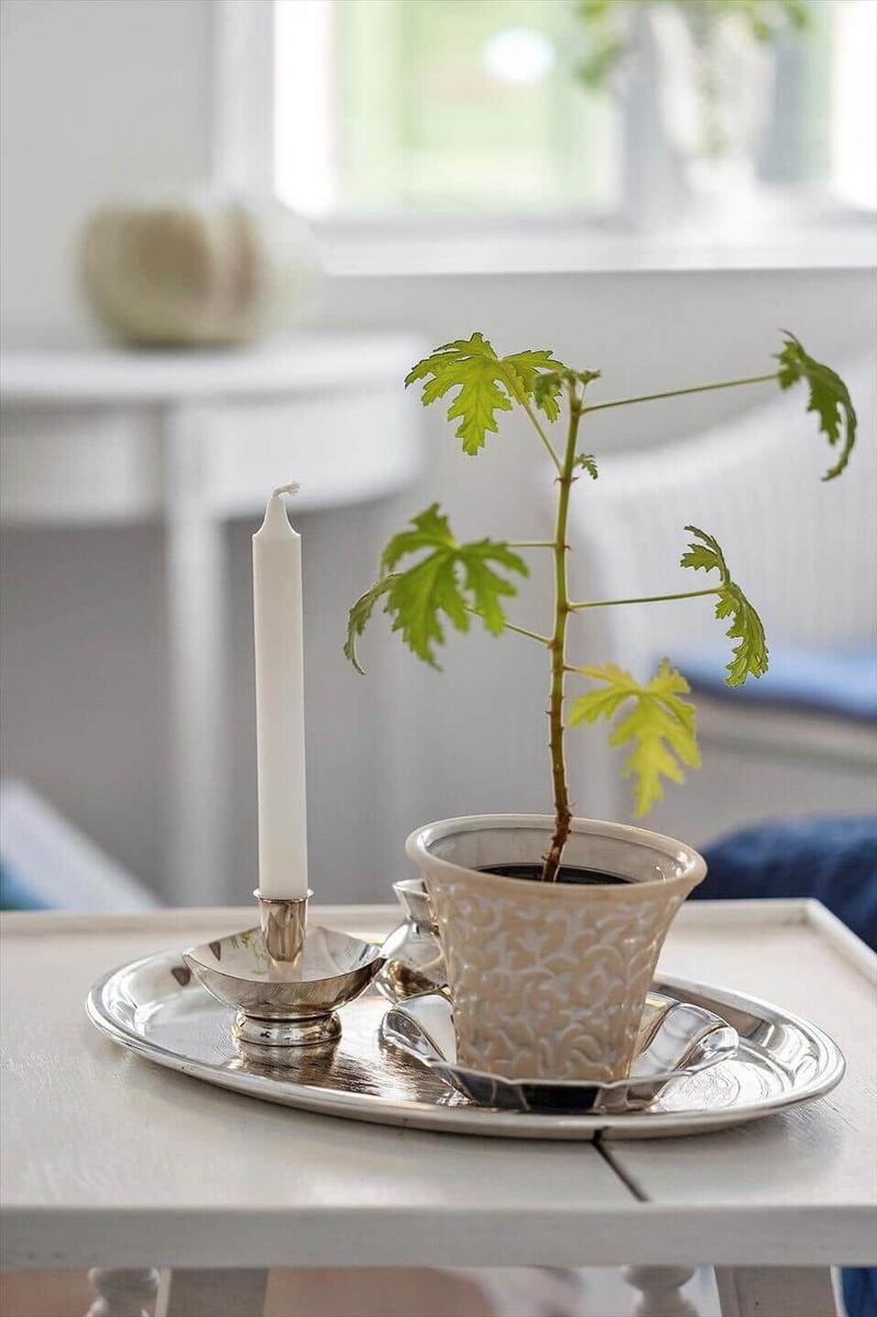 On a table, a silver tray holds a candle and a plant in a cup.