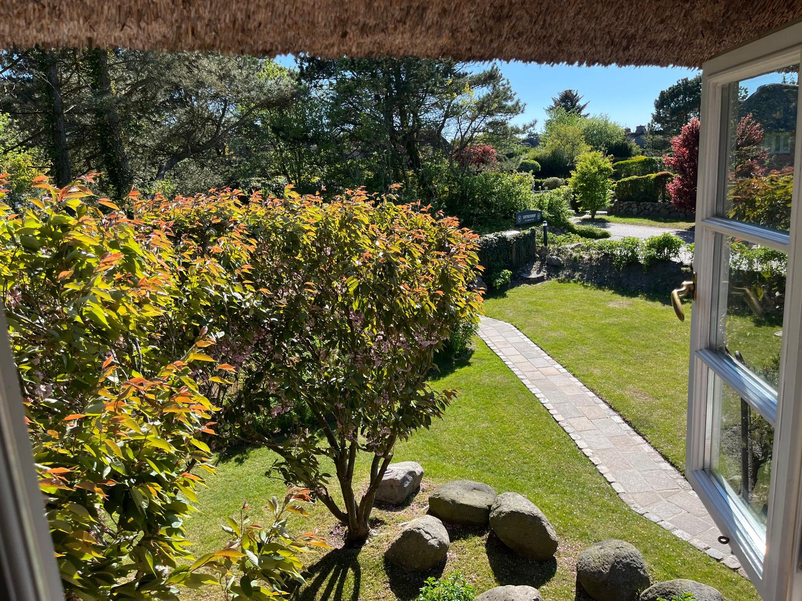 Ausblick Wohnzimmer nach Süden im Mai App. "Tjalk"