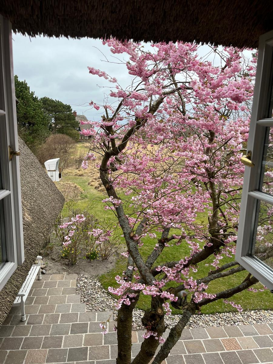 Ausblick Schlafzimmer nach Osten im März/April App. "Tjalk"