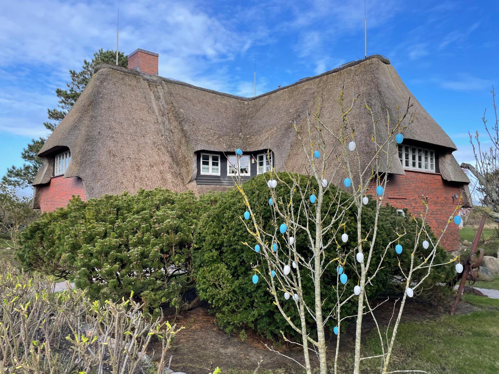 Aussenansicht Süd-West im März