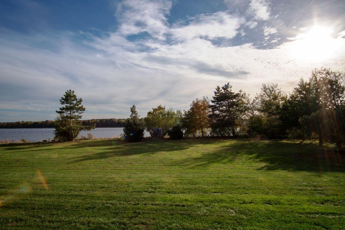 Green grass field with trees and lake under blue sky with sun.