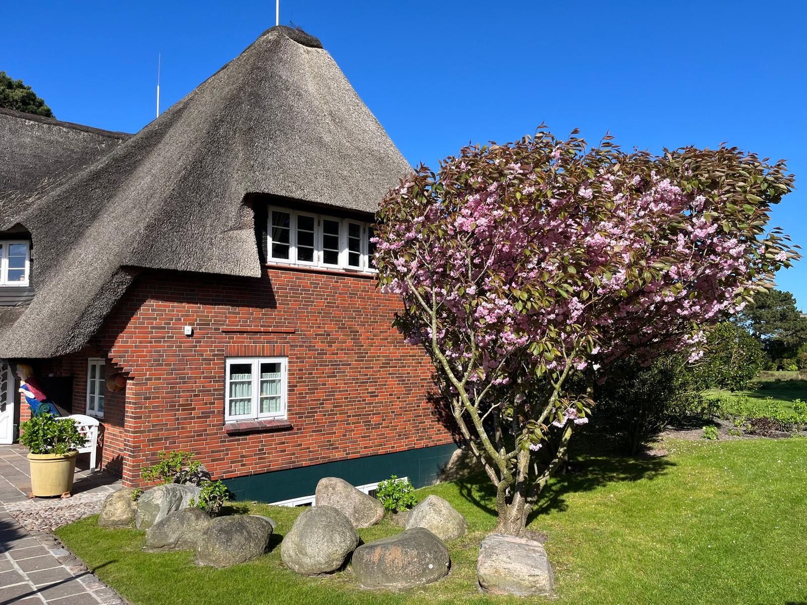 Aussenansicht Süden im Mai