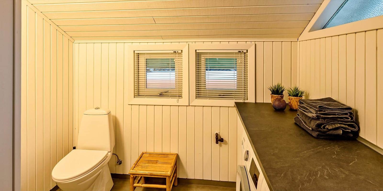 Badezimmer mit Toilette, Waschbecken und zwei Fenstern.