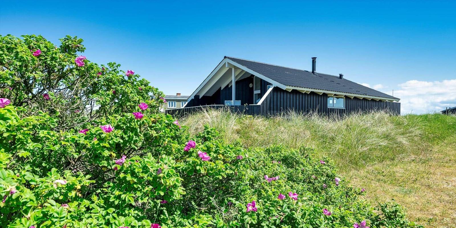 Schwarzes Haus mit Dach und Fenstern auf grüner Wiese mit rosa Blumen.