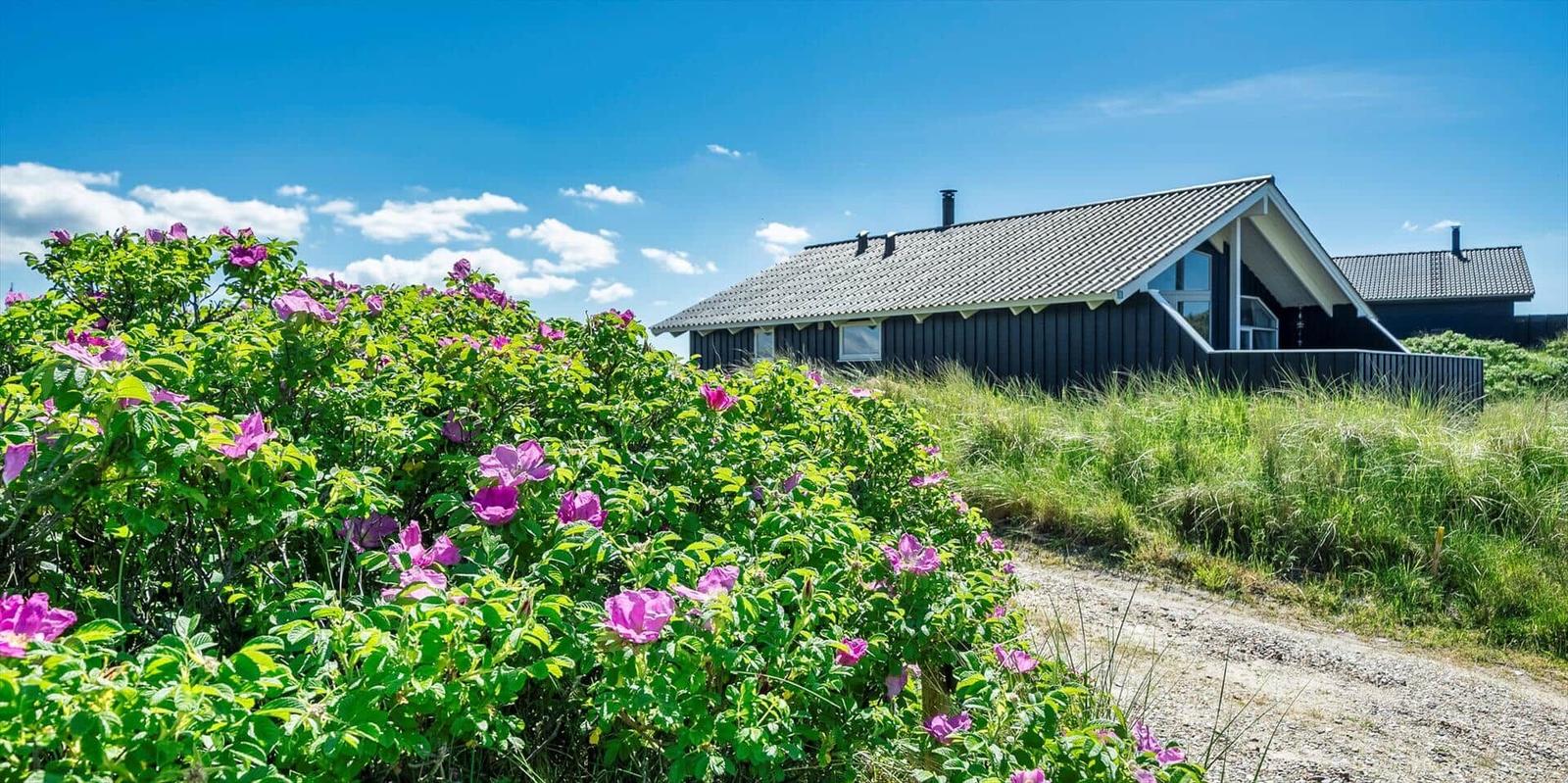 Schwarzes Haus mit Dach und Fenstern, umgeben von rosa Blumen und Gras.