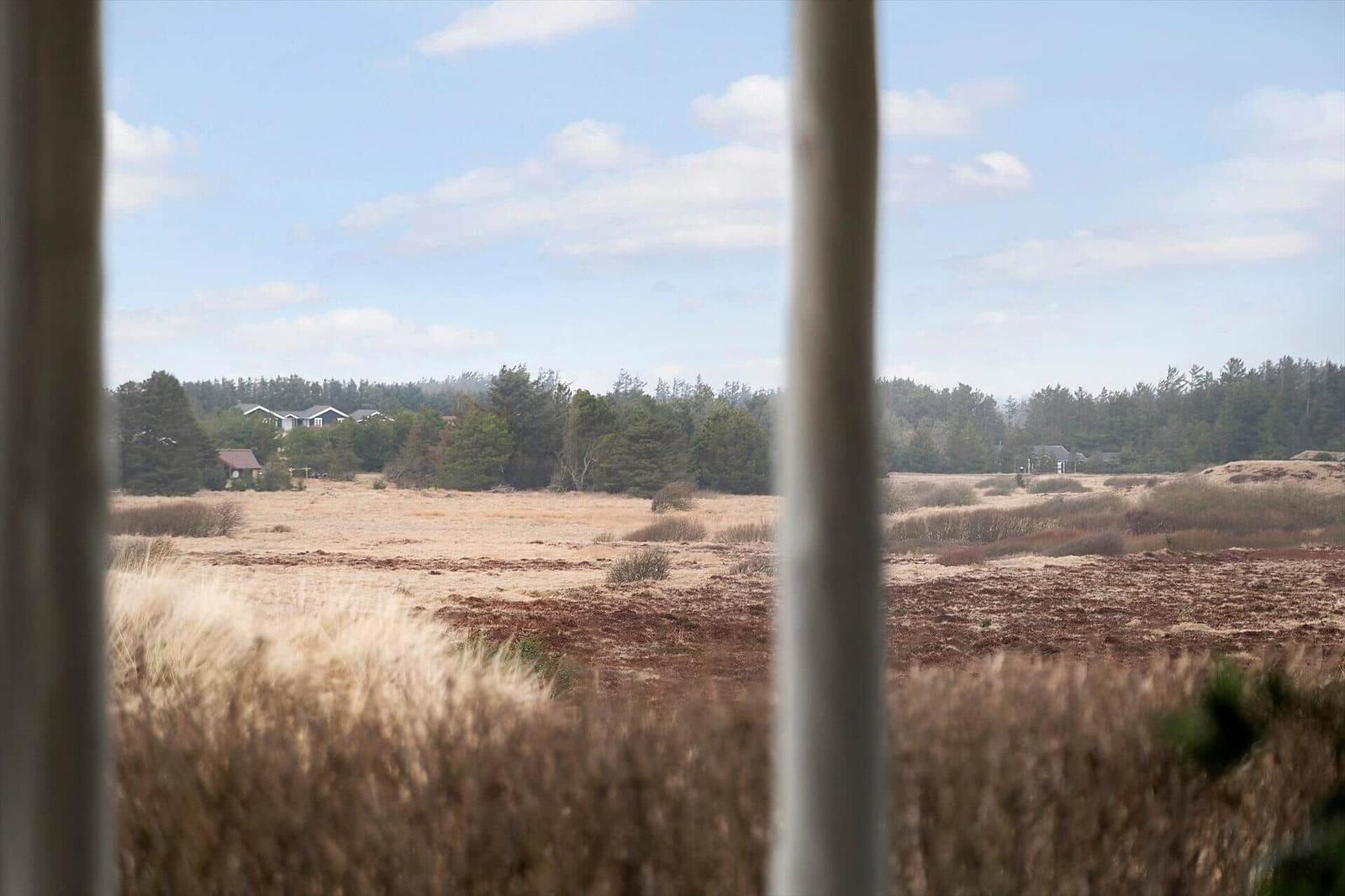 Blick aus dem Fenster auf trockenes Gras und Bäume im Hintergrund.