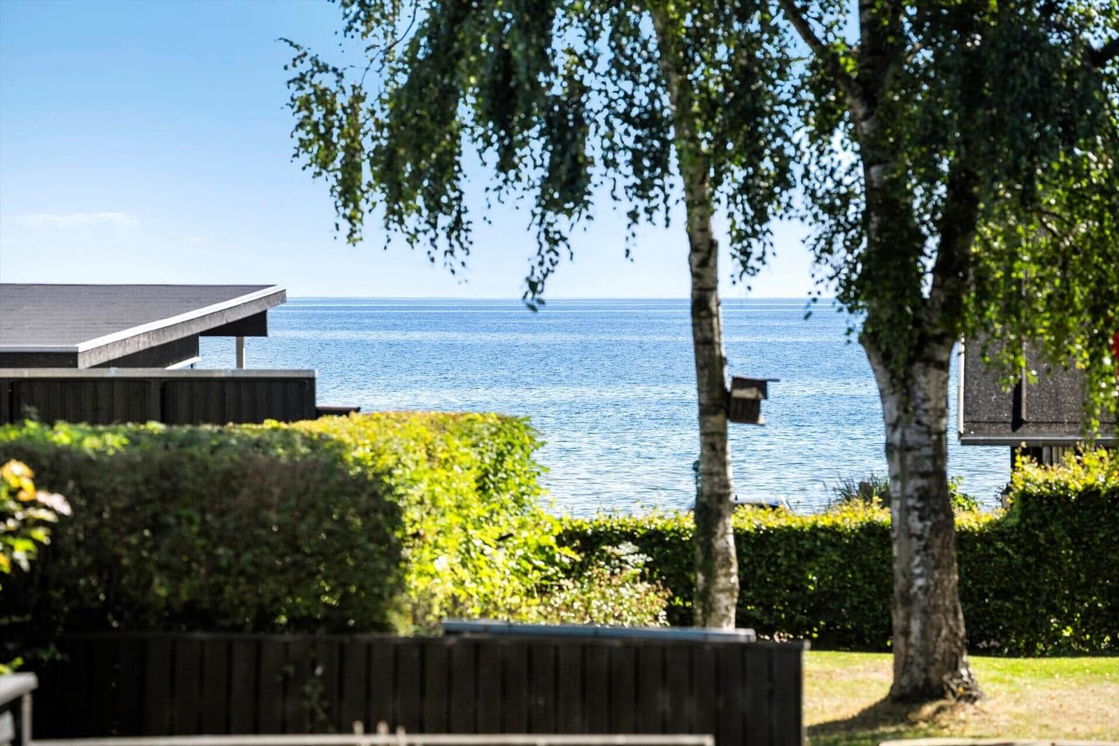 Meerblick mit Bäumen und Hecke im Vordergrund