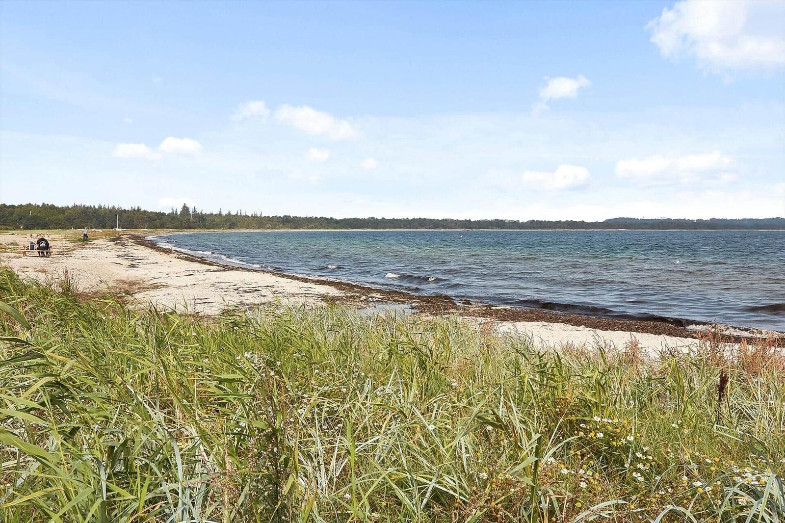 Strand mit Gras und Wasser unter blauem Himmel.
