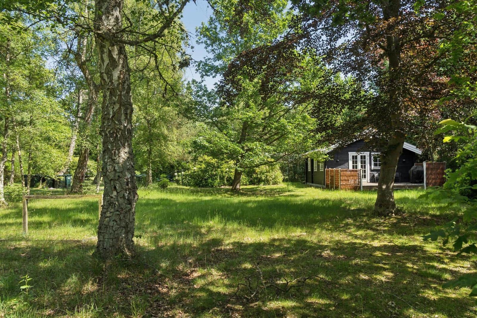 Holzhaus im Wald mit Grasfläche und Bäumen.