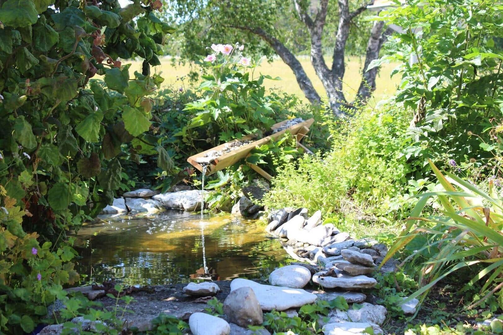 Ein kleiner Teich mit Steinen und einem Wasserfall aus Holz.