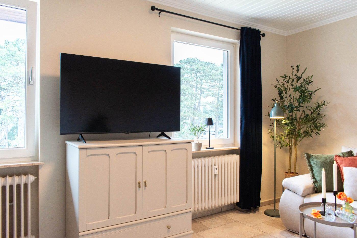 TV auf weißen Schrank, Fenster mit Vorhang, Sofa und Pflanze im Raum.
