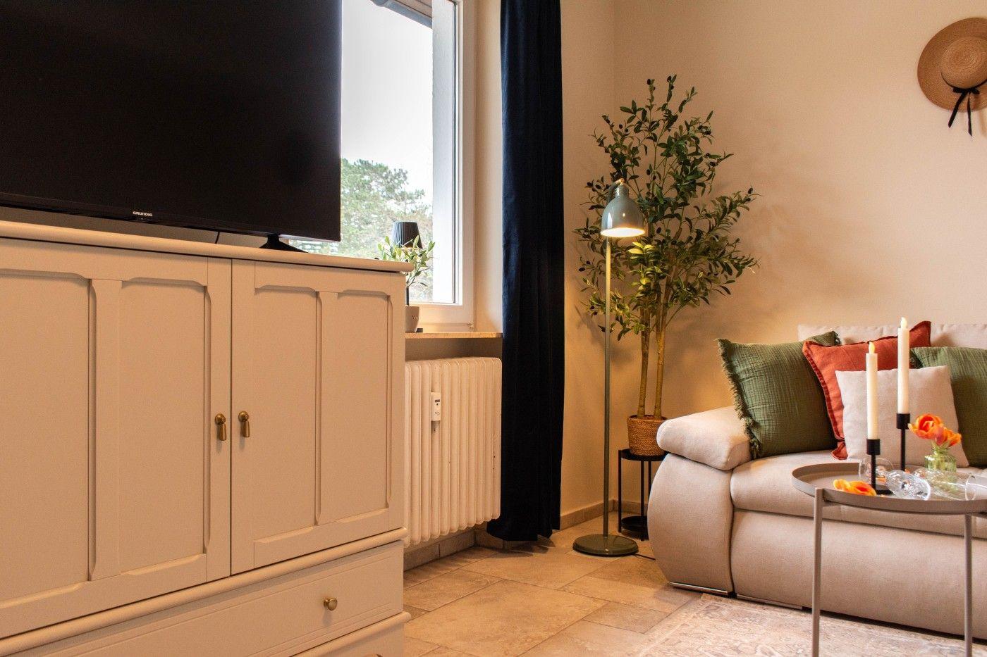 Wohnzimmer mit Sofa, Fernseher und Pflanze