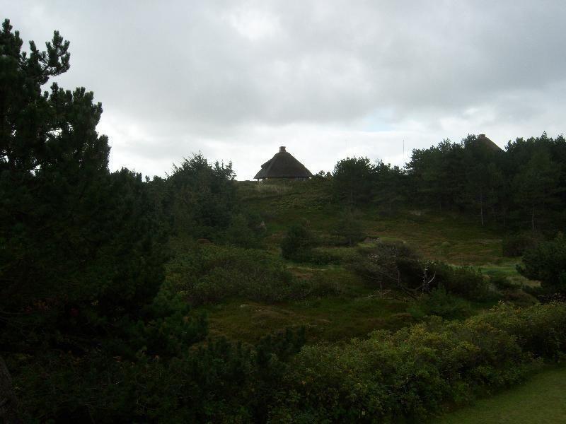 Hütte mit Dach auf Hügel, umgeben von Bäumen und Gras.