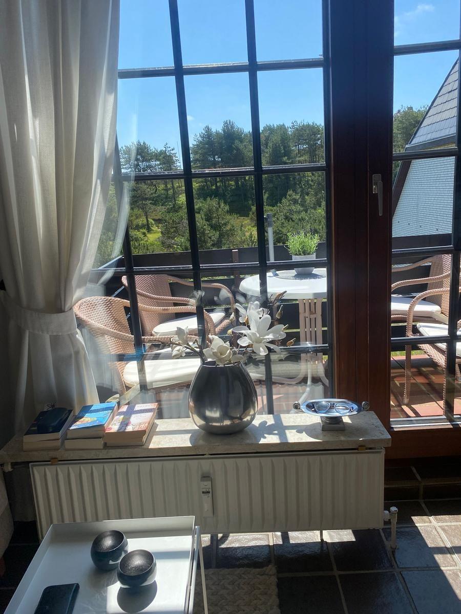 Blick auf Balkon mit Garten und Tischstühlen durch große Fenster.