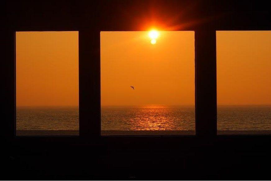 Sonnenuntergang über dem Meer durch Fenster mit Vogel