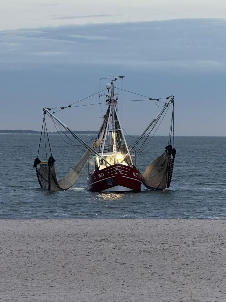 Roter Fischfangschiff mit Netzen im Wasser bei Sonnenuntergang.