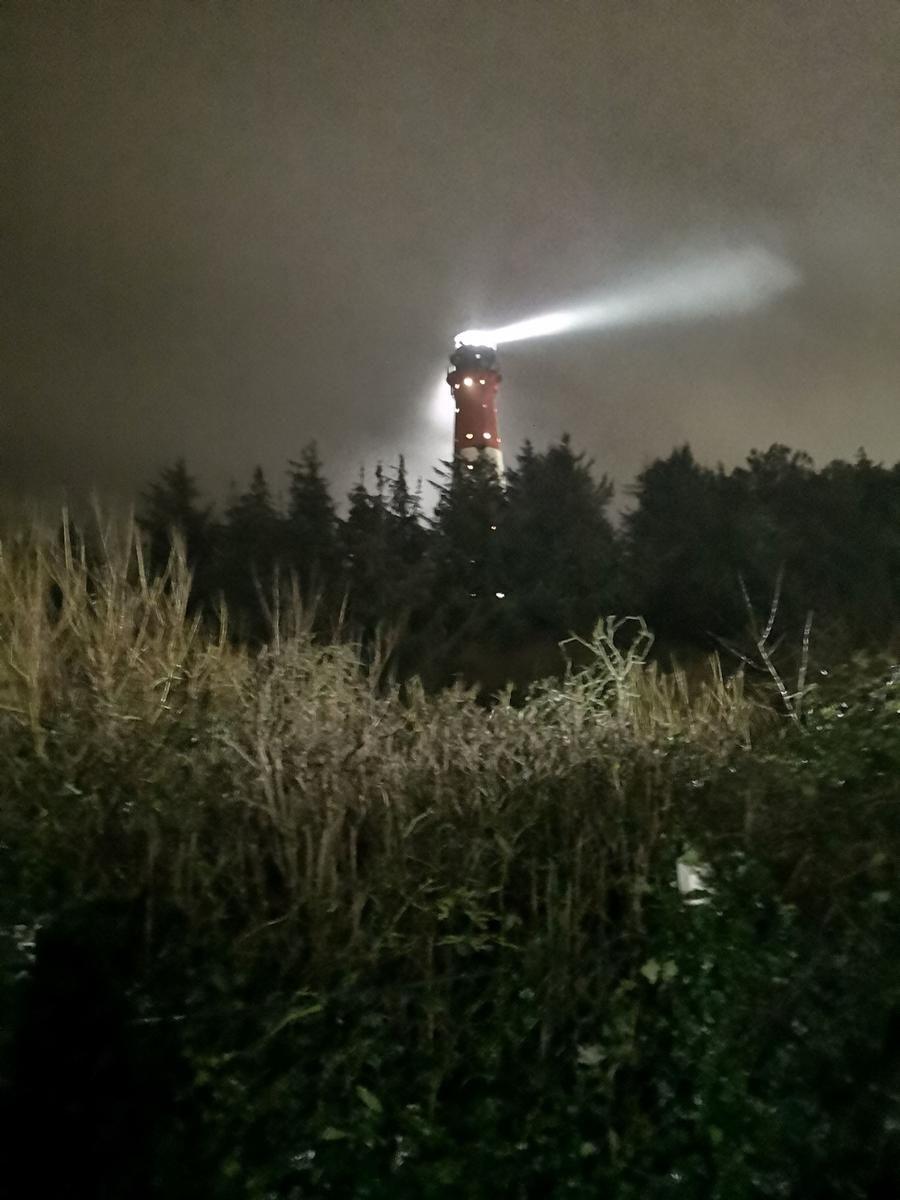 Roter Leuchtturm mit Lichtstrahl bei Nacht hinter Bäumen