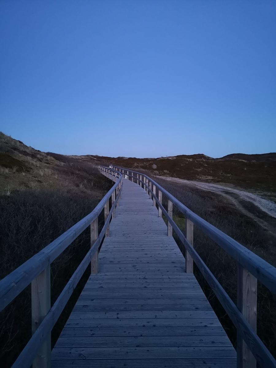 Holzbrücke führt durch Dünenlandschaft unter blauem Himmel