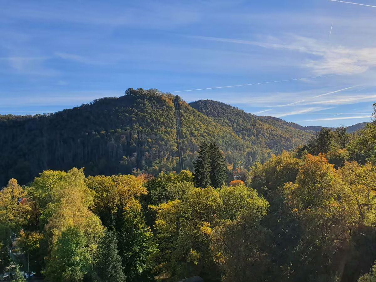 Die Aussicht vom Balkon im Spätsommer