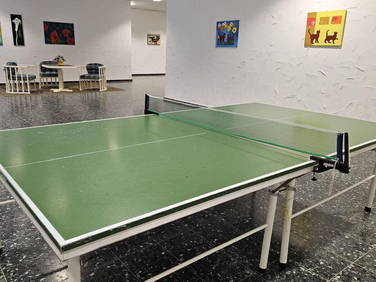 Die Tischtennisplatte im Flur (Tischtennisschläger und Bälle sind im Apartment vorhanden)