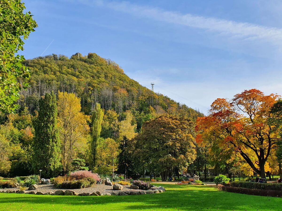 Der Kurpark im Herbst mit leuchtenden Blättern