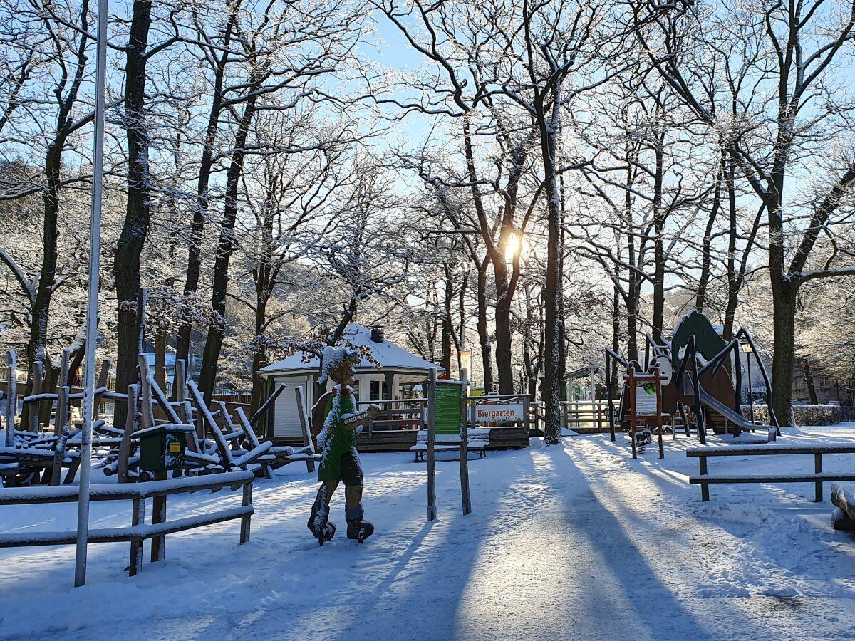 Der Kurpark im Winterzauber