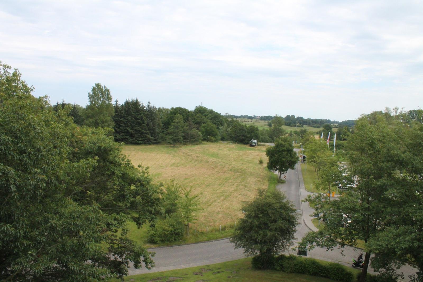 Weitläufiger Blick auf Grünfläche, Bäume und Straße mit Fahrradweg.