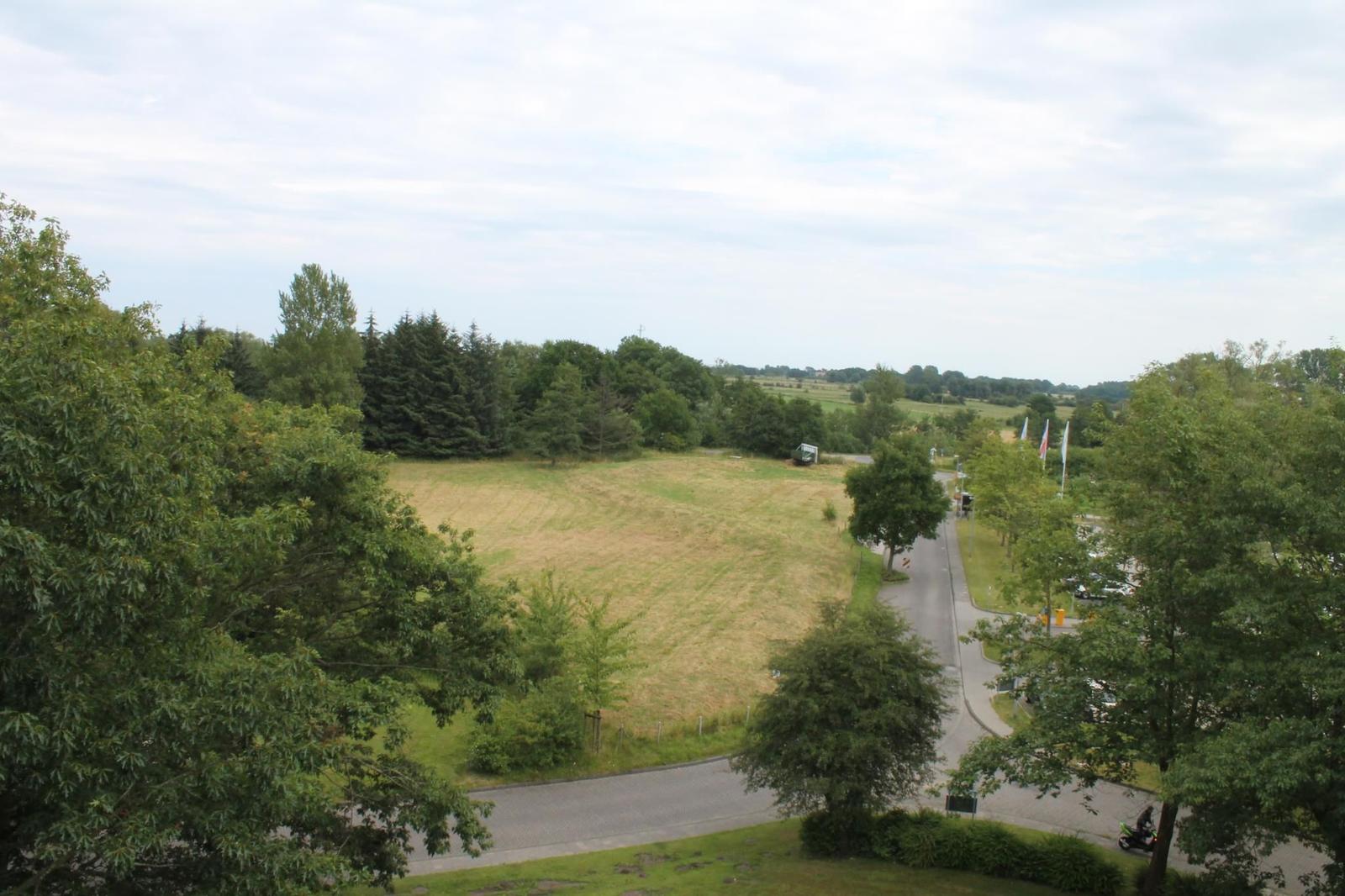 Weitläufiger Blick auf Feld und Straße mit Bäumen und Fahnen.