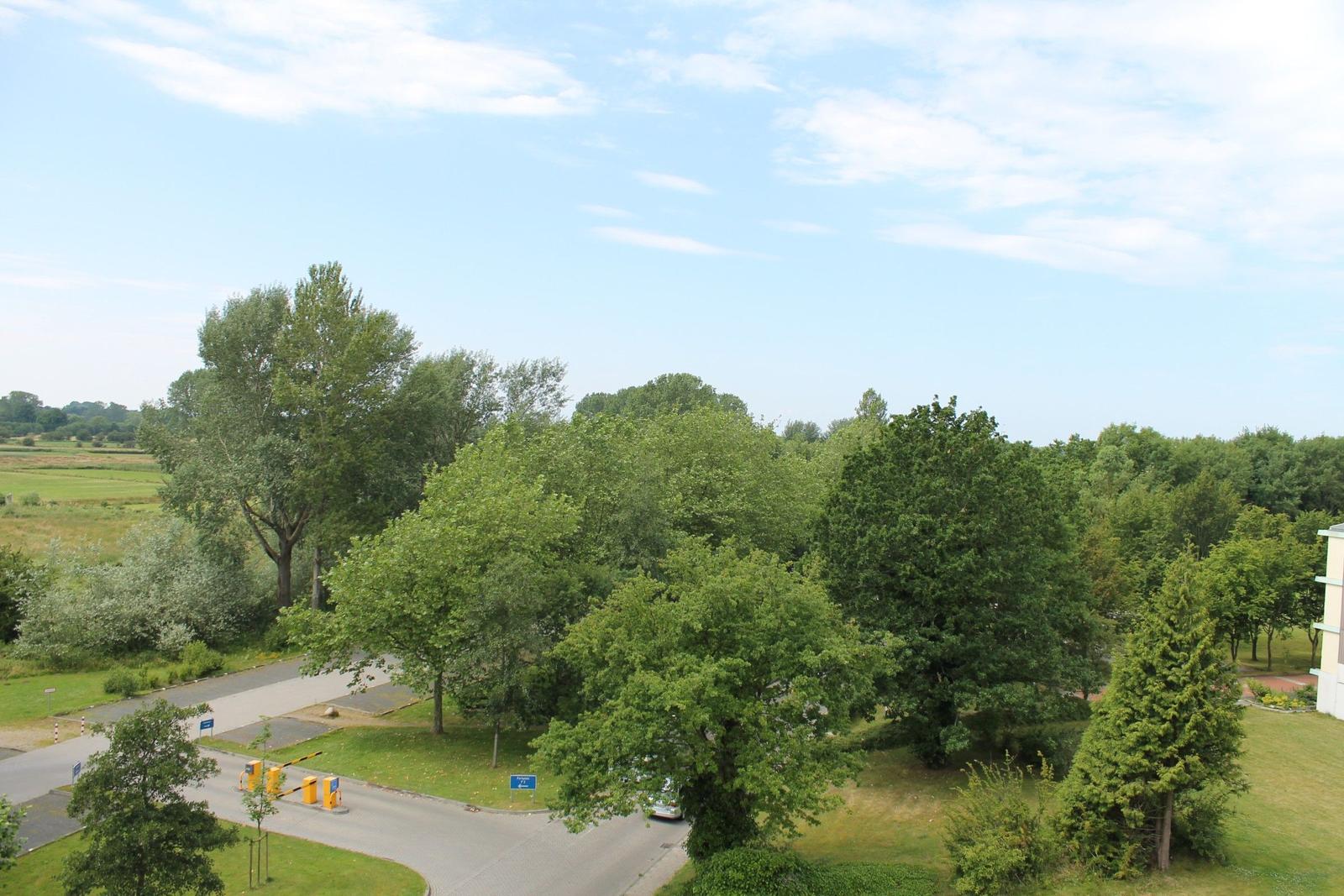 Weitläufiger Blick auf grüne Bäume und einen Parkplatz mit gelben Stützen.