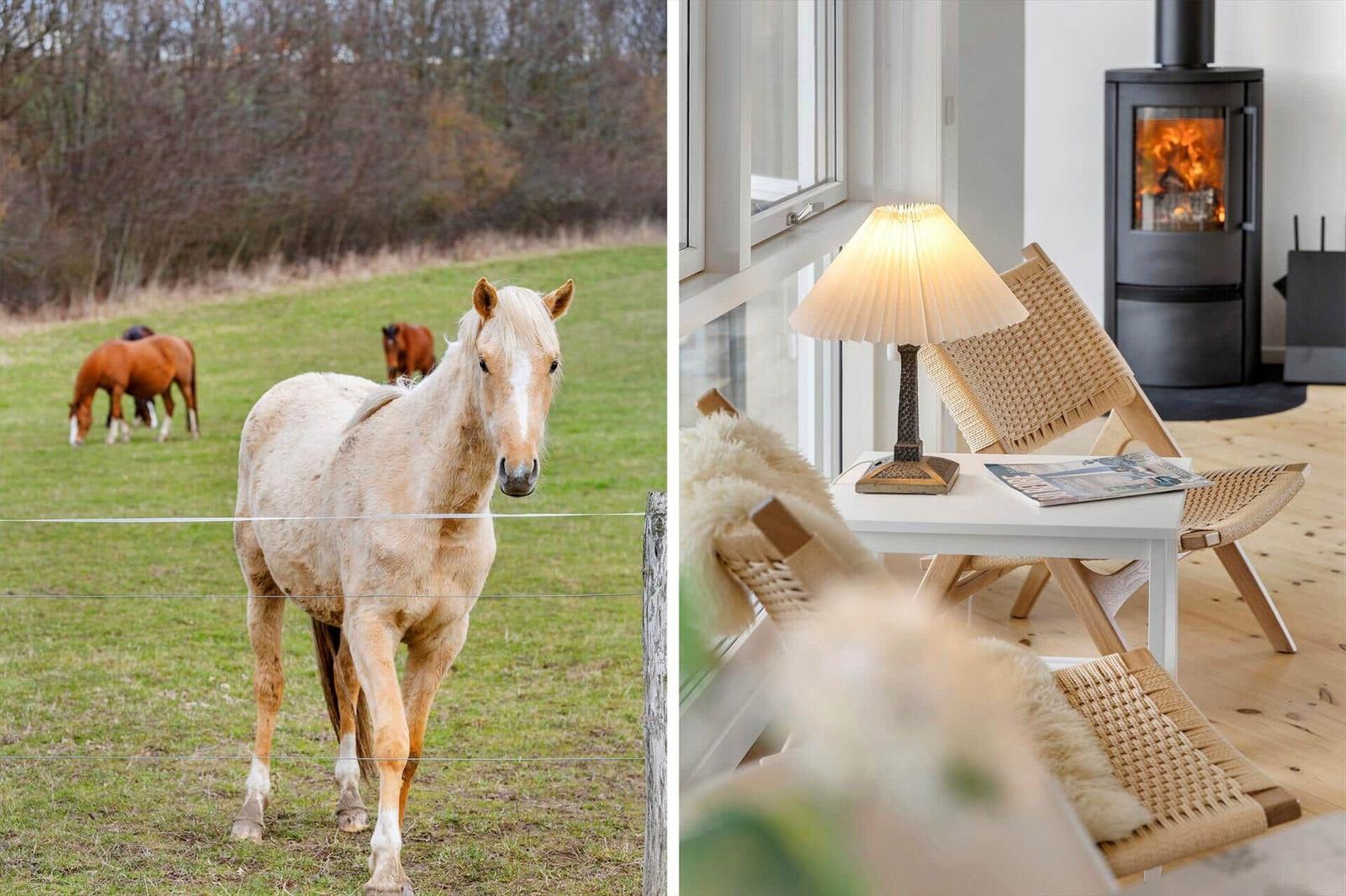 Ein Pferd steht vor einem Zaun, im Hintergrund grasen weitere Pferde. Ein Wohnbereich mit Stuhl, Tisch und Kamin.