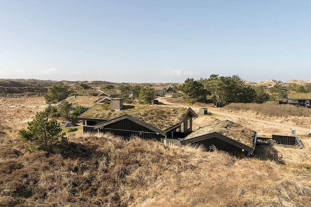 Dachgeschosswohnung mit Gründach und Blick auf Dünenlandschaft