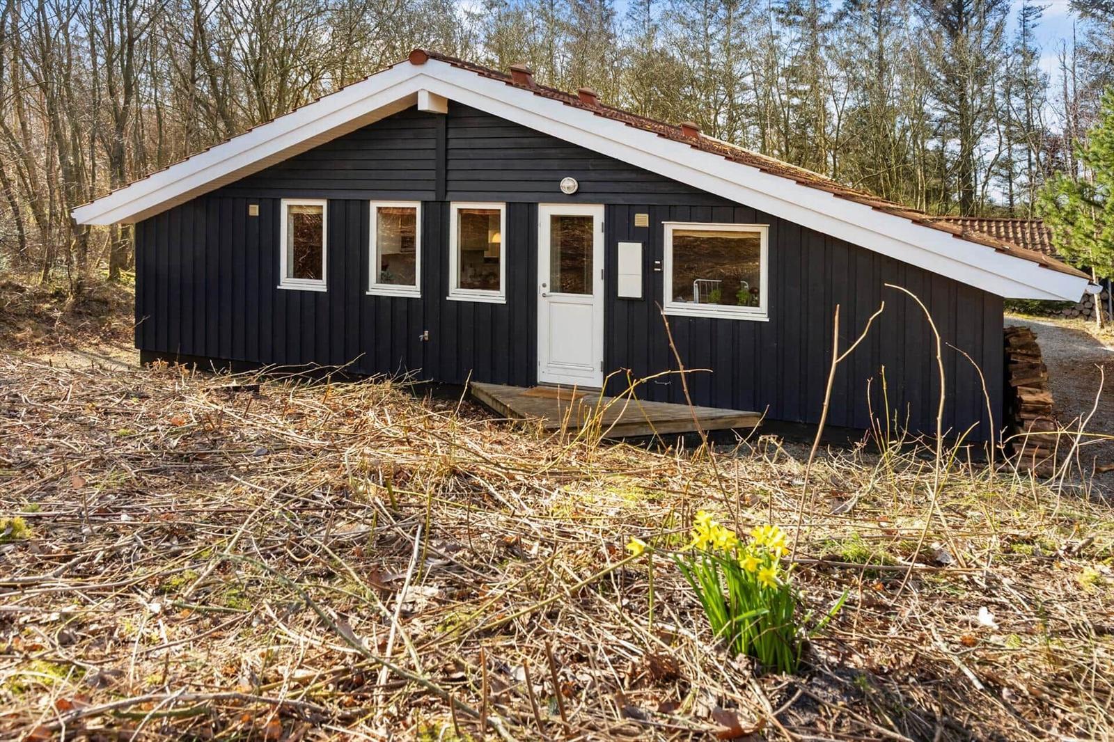 Schwarze Holzhütte mit weißer Tür und Fenstern im Wald. Gelbe Blumen im Vordergrund.