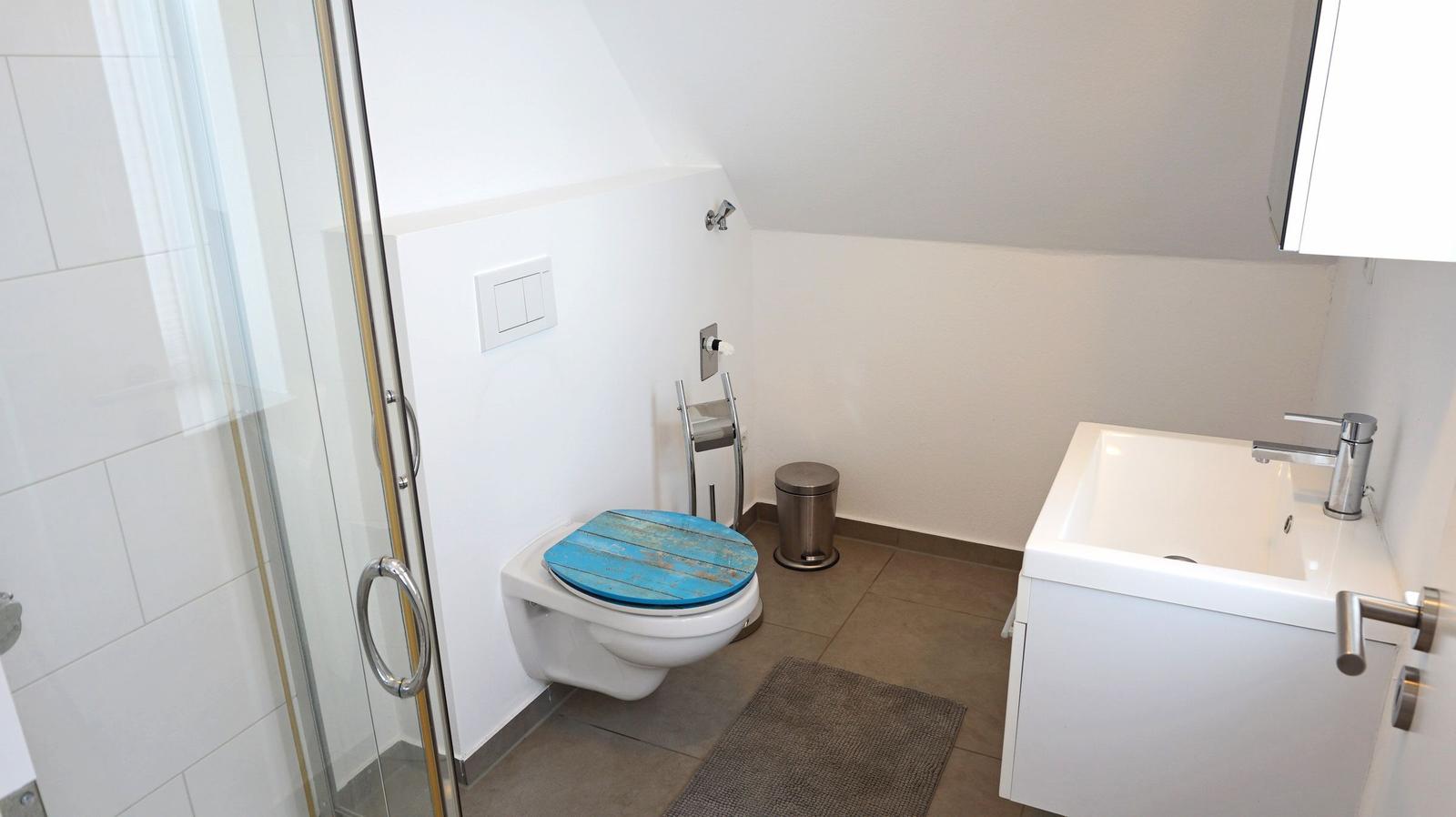 Badezimmer mit Toilette, Dusche und Waschbecken.