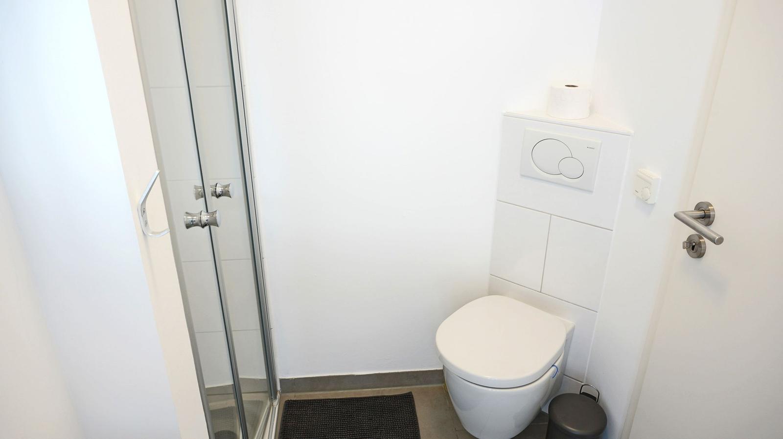 Toilette mit Dusche und Toilettenpapier