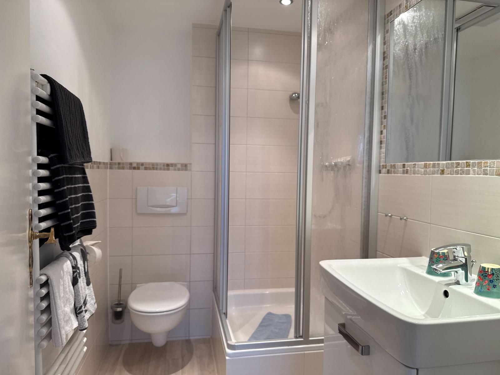 Badezimmer mit Dusche, Waschbecken und Toilette. Handtuchhalter und Spiegel sichtbar.