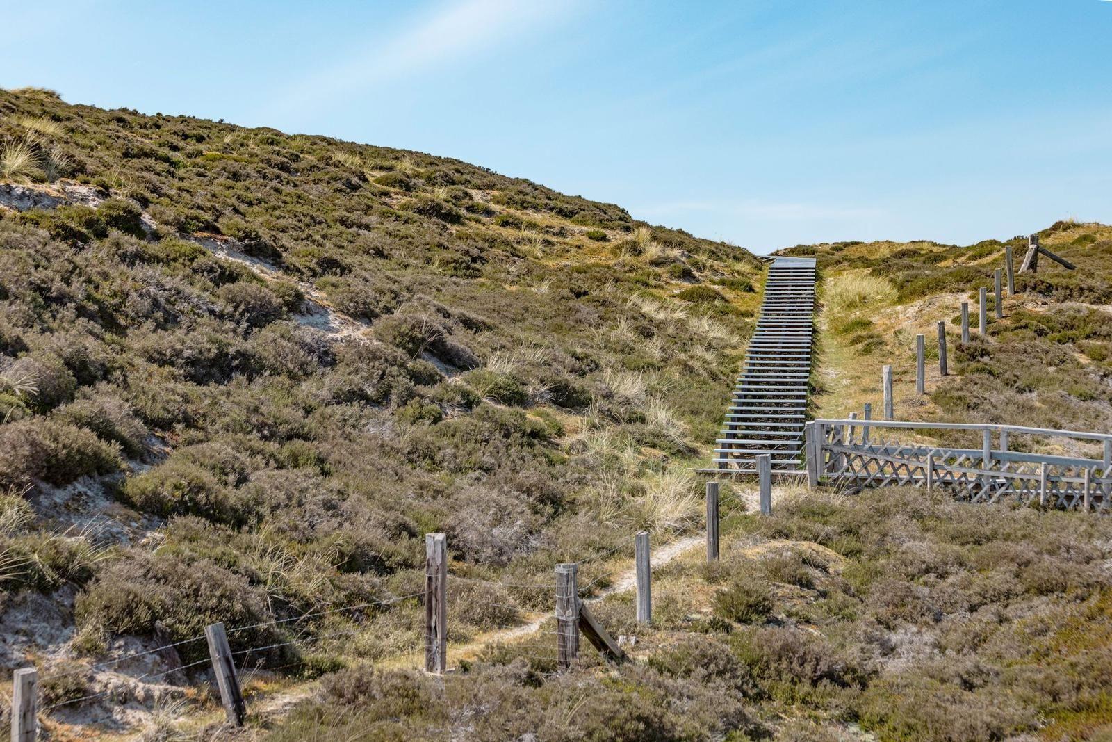 Holzsteg führt durch Dünenlandschaft unter blauem Himmel.