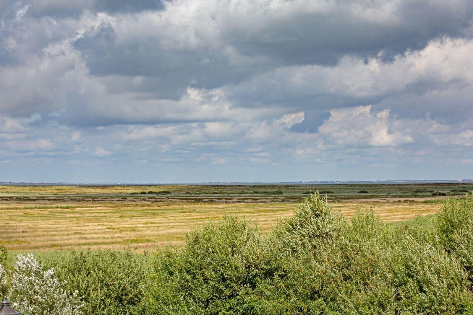 Weitläufiges Feld unter bewölktem Himmel mit grünen Sträuchern im Vordergrund.