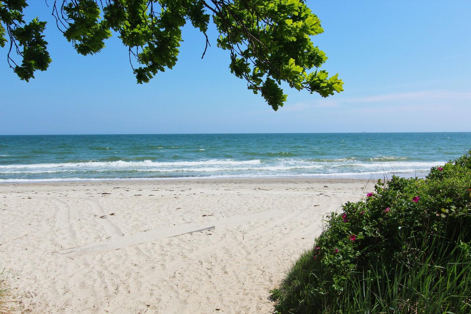 Strand mit Sand, Meer und grünen Pflanzen unter blauem Himmel.