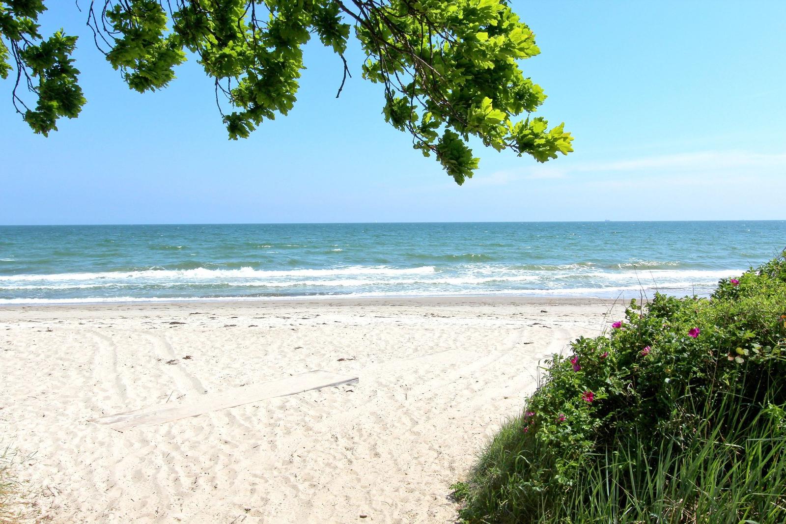 Strand mit Sand, Meer und grüner Vegetation unter blauem Himmel.