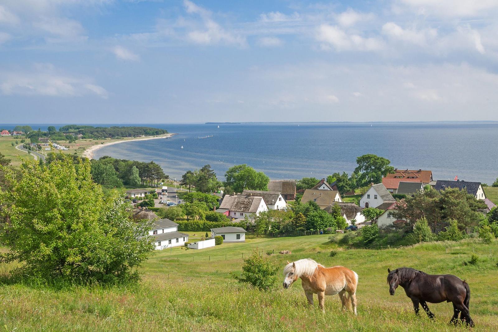 Zwei Pferde grasen auf einer Wiese mit Blick auf das Meer und Häuser.