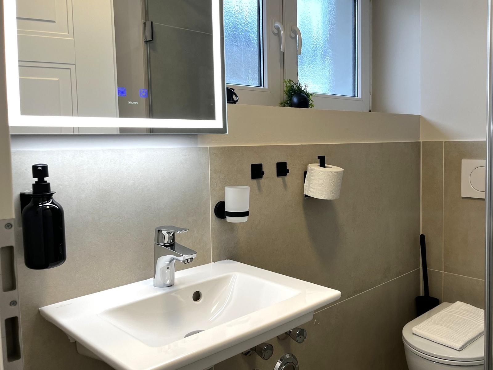 Badezimmer mit Waschbecken, Spiegel und Toilette. Fenster mit kleinen Pflanzen.