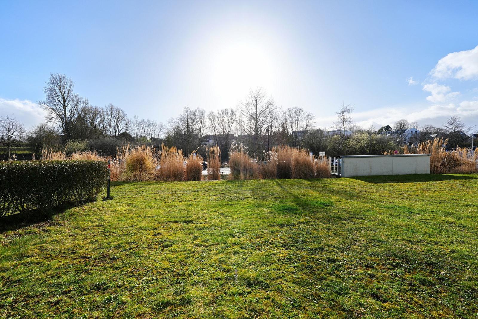 Grüner Rasenbereich mit hohem Gras und Bäumen im Hintergrund unter blauem Himmel.